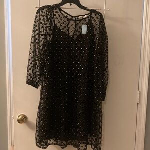 /LOFT/Black Sheer Polka Dot Dress with full removable slip